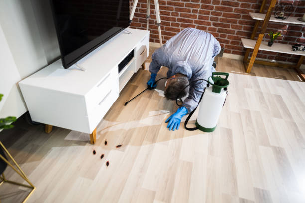 4 Things you Should Look for Test If a Pest Control Company is Dependable