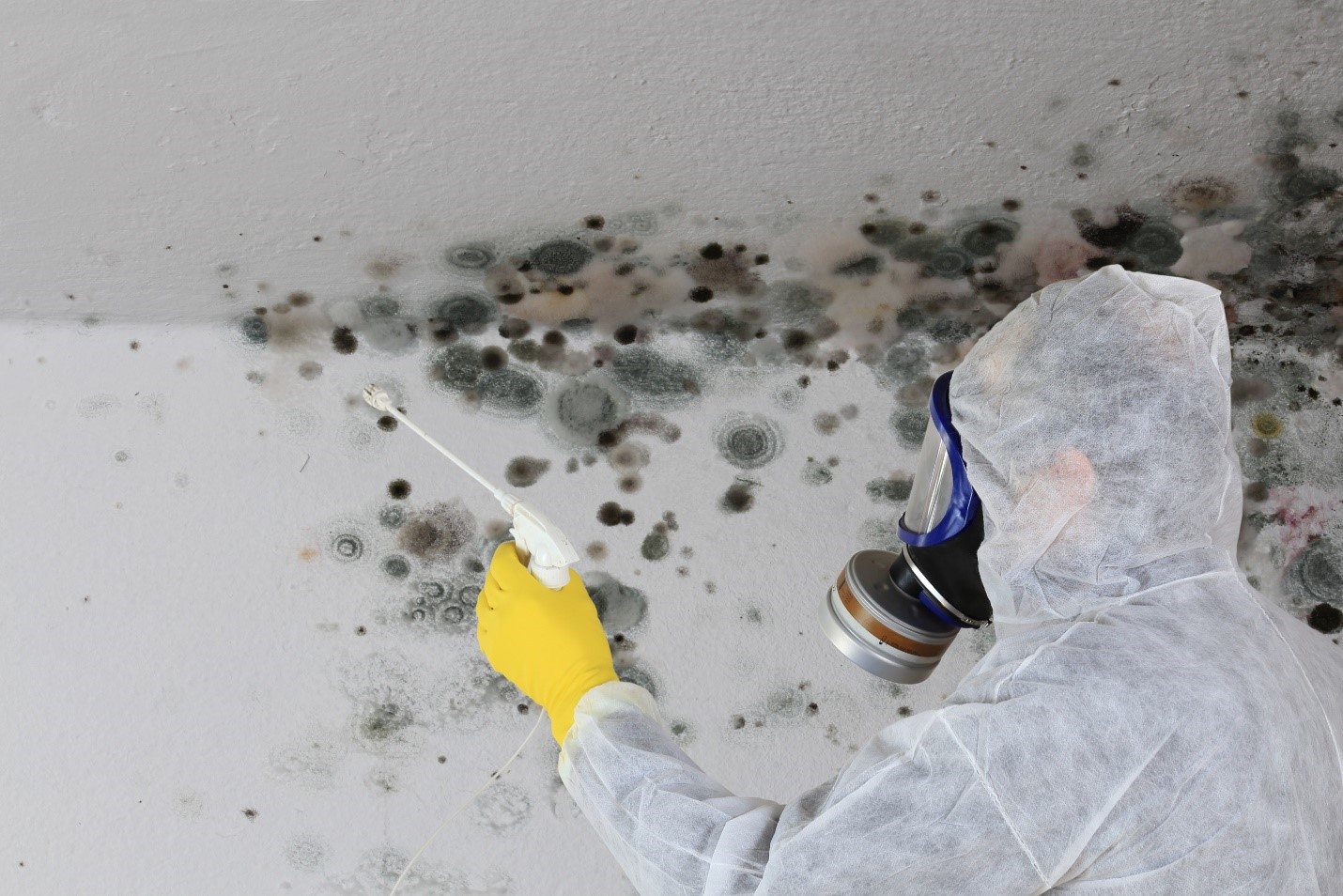 4 Factors That Indicate It’s Time for Residential Mold Testing Fairfax VA